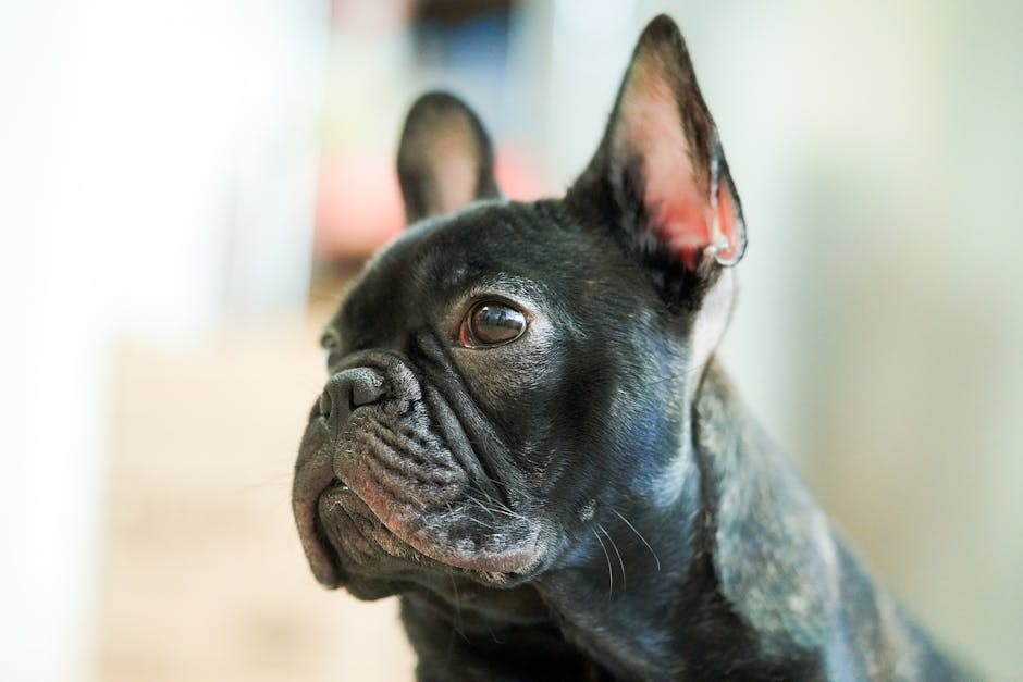 Dog breed portrait